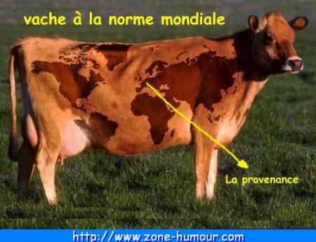 vache carte du world